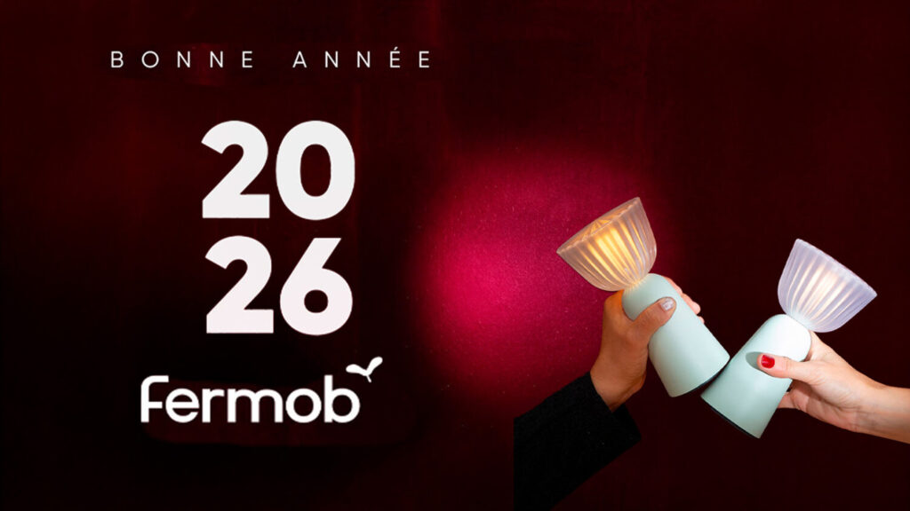 Photobooth entreprise dans l'Ain personnalisé aux couleurs Fermob