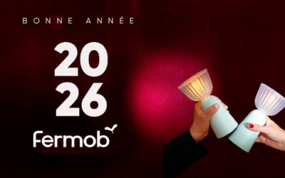 Photobooth d’entreprise dans l’Ain : retour sur nos soirées Fermob