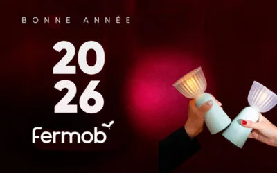 Photobooth d&rsquo;entreprise dans l&rsquo;Ain : retour sur nos soirées Fermob